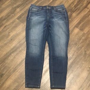 Lane Bryant Jeans Skinny High Rise SZ 16 Blue